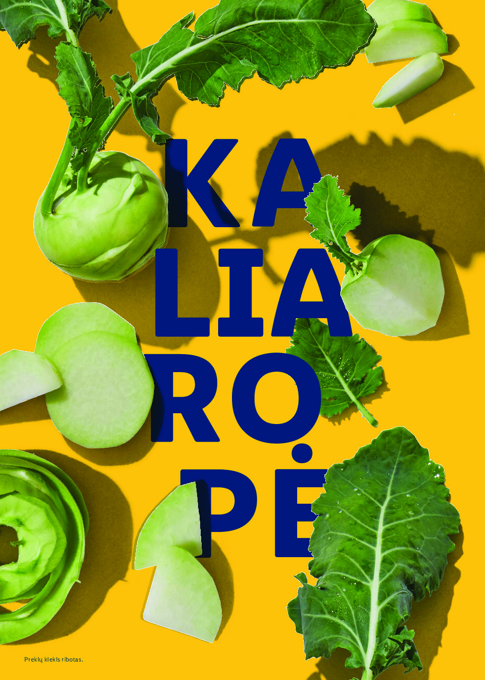 lidl - Velykos, pilnos džiaugsmo (2026-02-23 - 2026-04-06) - page: 74