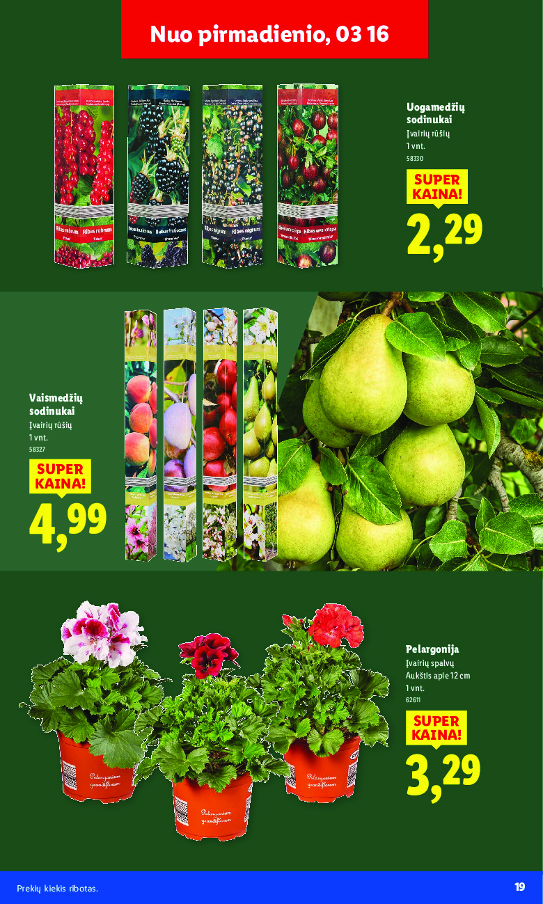 lidl - Sodui valio! (2026-02-16 - 2026-03-29) - page: 19