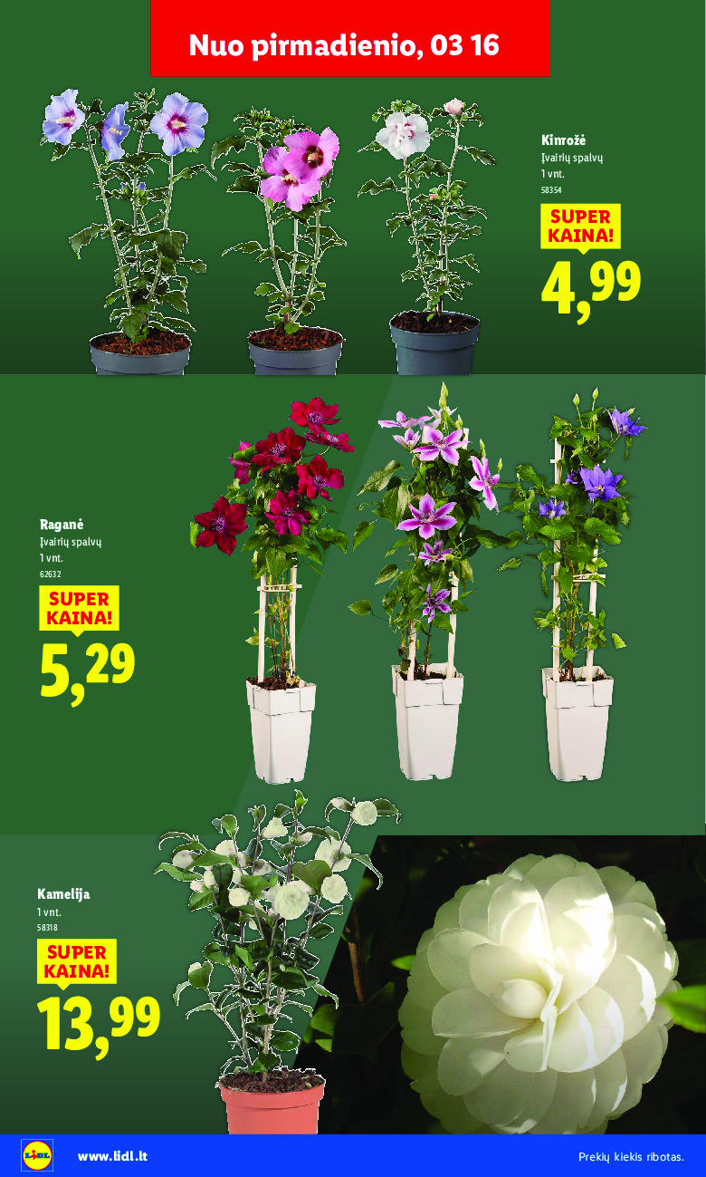 lidl - Sodui valio! (2026-02-16 - 2026-03-29) - page: 20