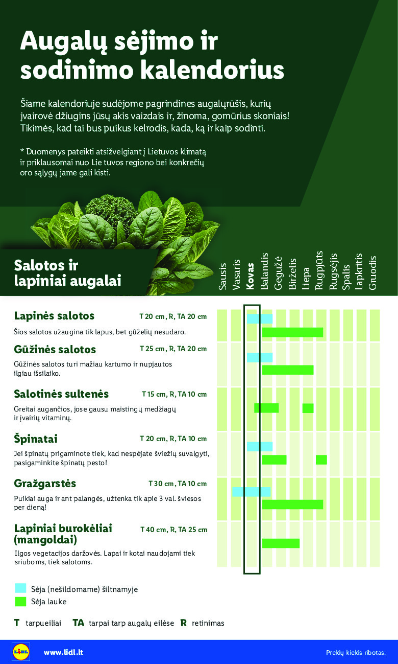 lidl - Sodui valio! (2026-02-16 - 2026-03-29) - page: 4