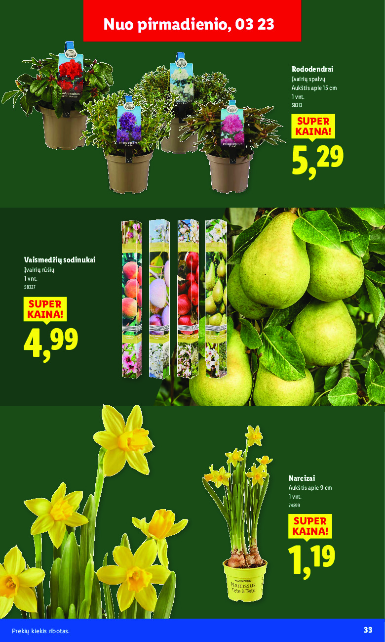 lidl - Sodui valio! (2026-02-16 - 2026-03-29) - page: 33