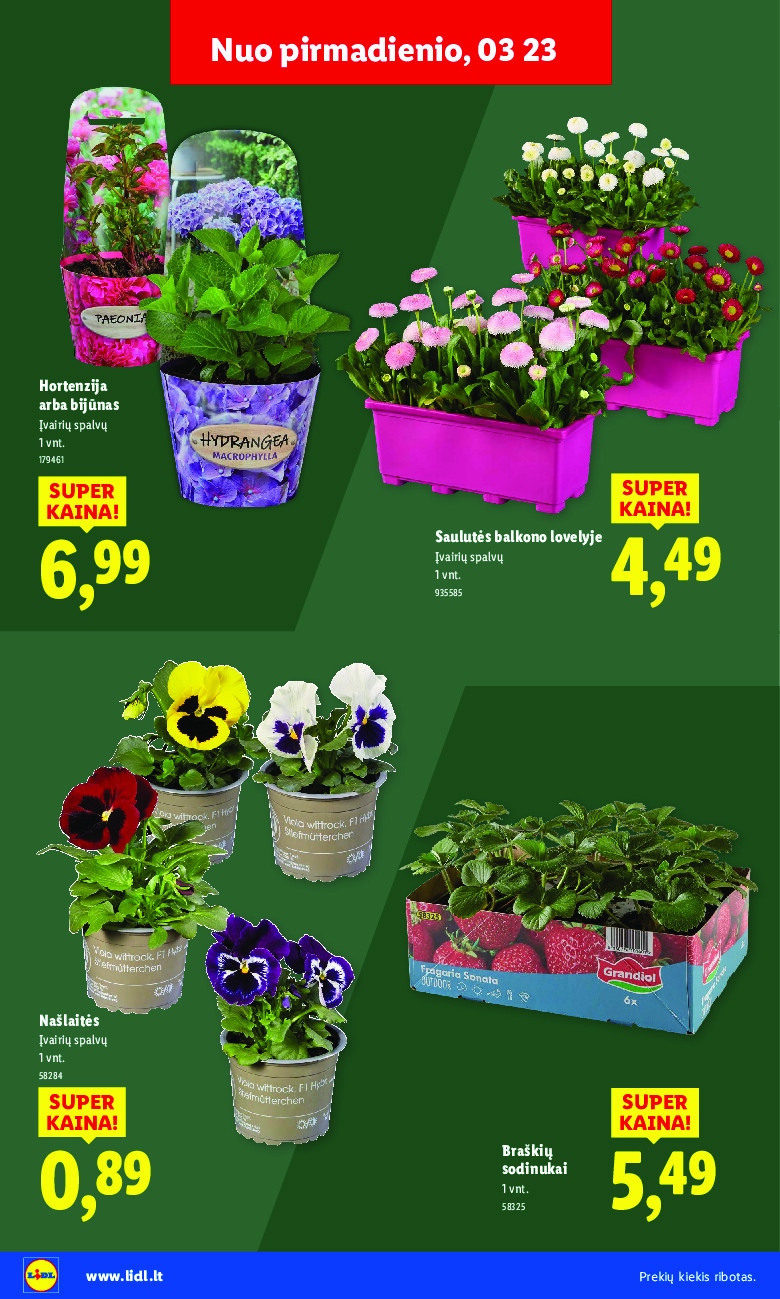 lidl - Sodui valio! (2026-02-16 - 2026-03-29) - page: 34