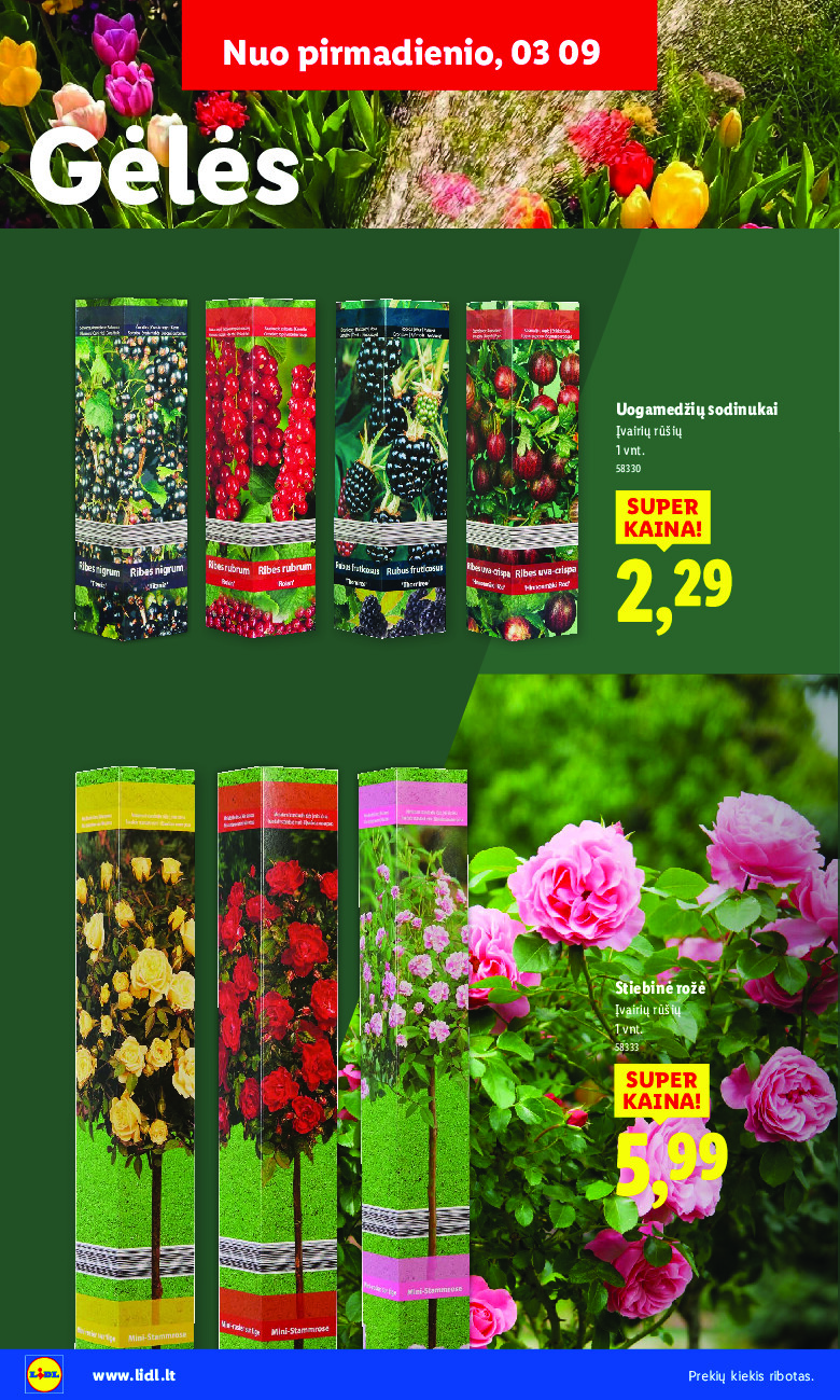 lidl - Sodui valio! (2026-02-16 - 2026-03-29) - page: 8