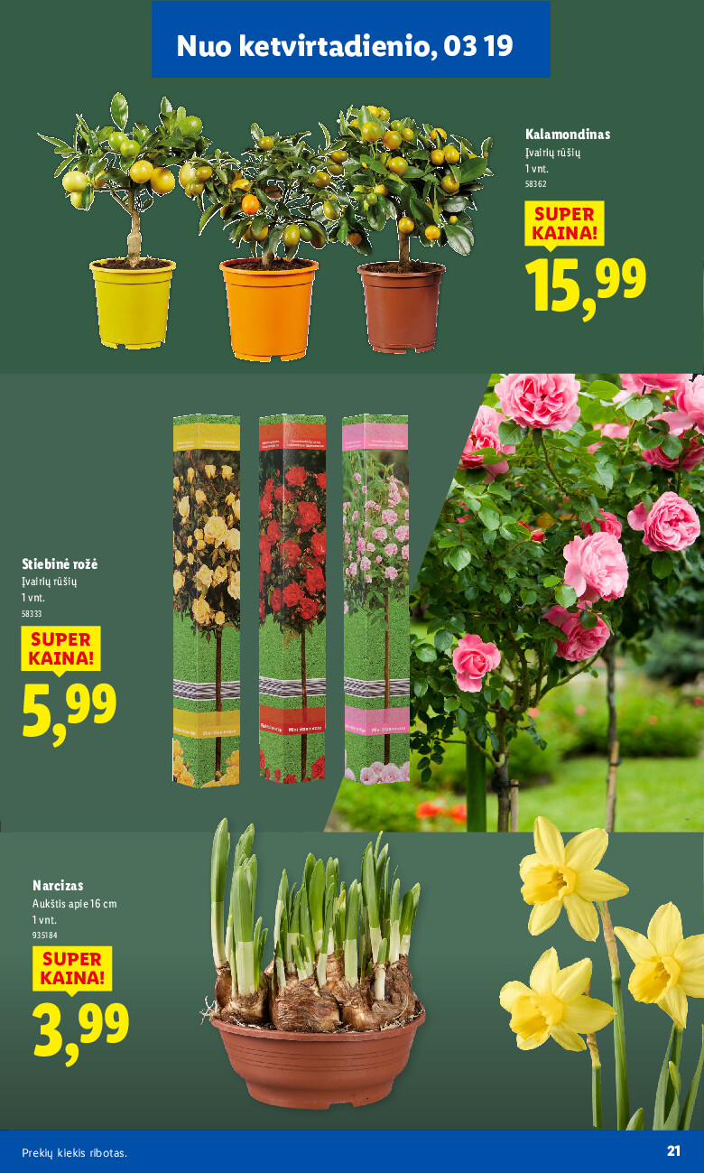 lidl - Sodui valio! (2026-02-16 - 2026-03-29) - page: 21