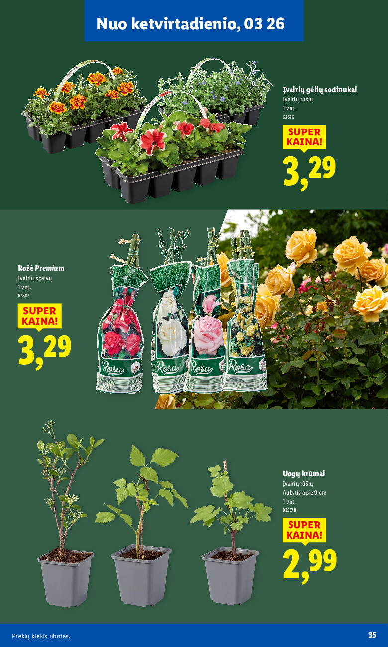 lidl - Sodui valio! (2026-02-16 - 2026-03-29) - page: 35