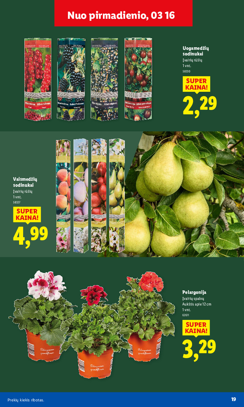 lidl - Sodui valio! (2026-02-16 - 2026-03-29) - page: 19