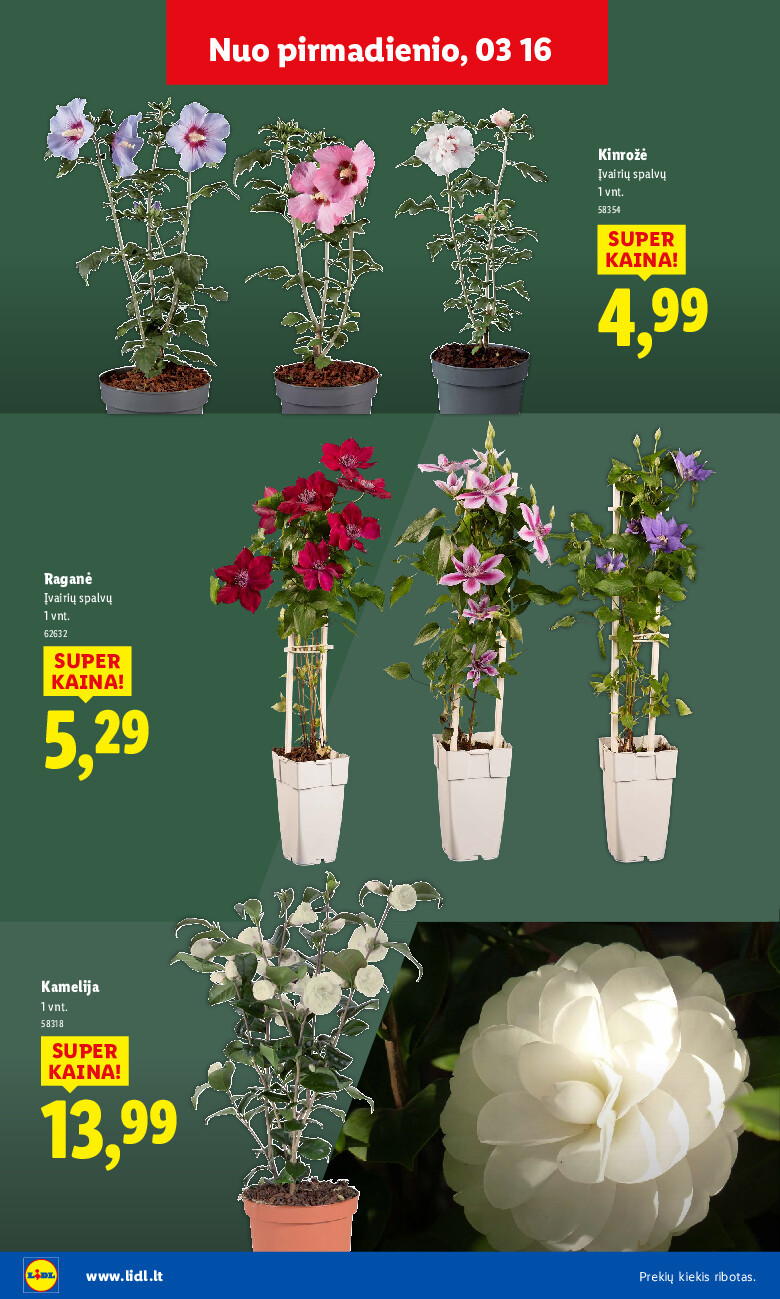 lidl - Sodui valio! (2026-02-16 - 2026-03-29) - page: 20