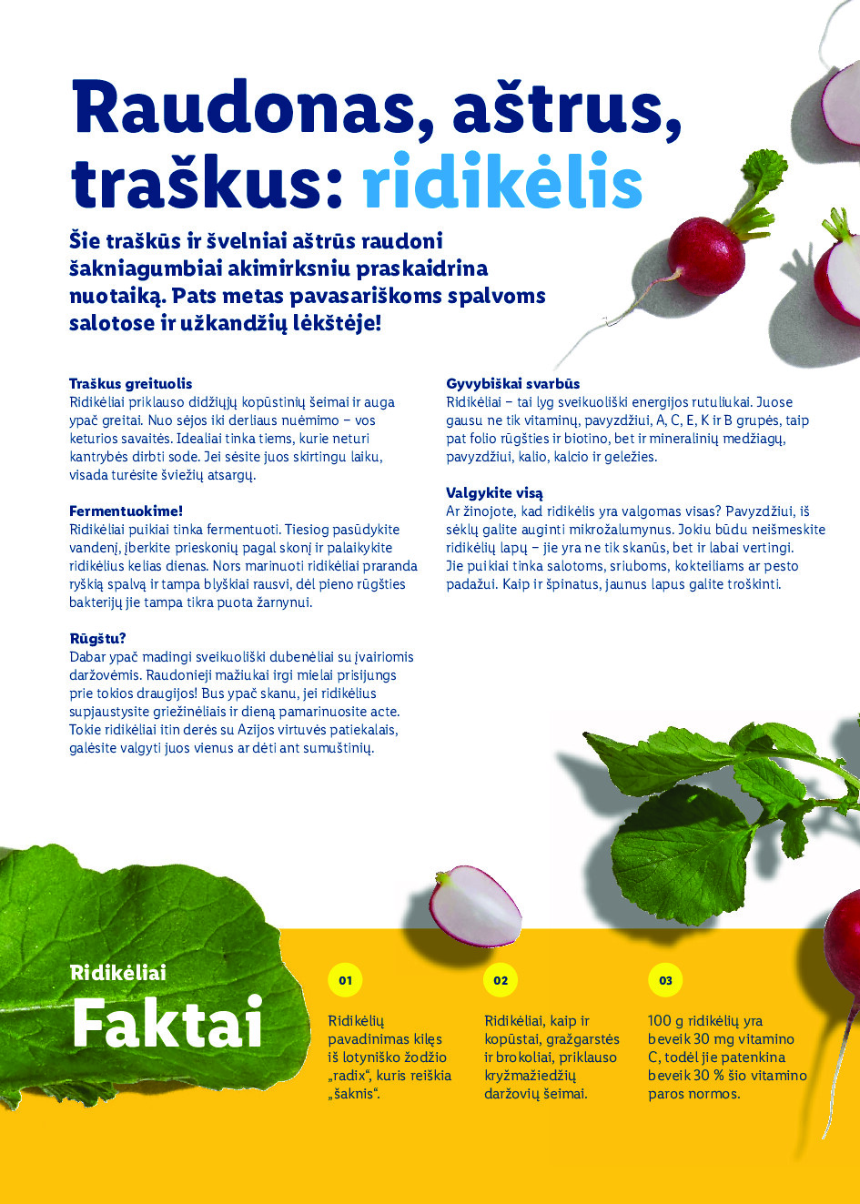 lidl - Velykos, pilnos džiaugsmo (2026-02-23 - 2026-04-06) - page: 58