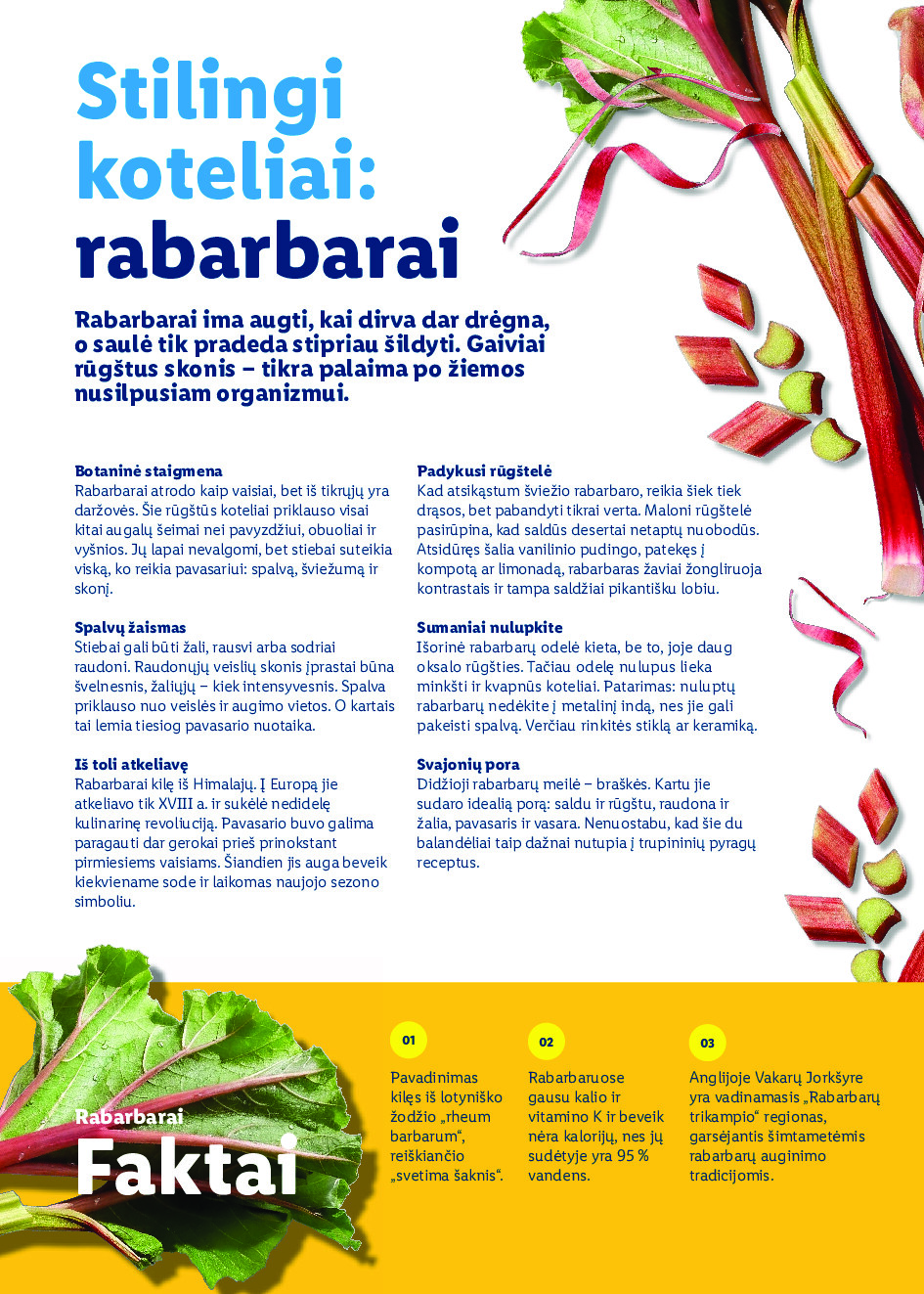 lidl - Velykos, pilnos džiaugsmo (2026-02-23 - 2026-04-06) - page: 86