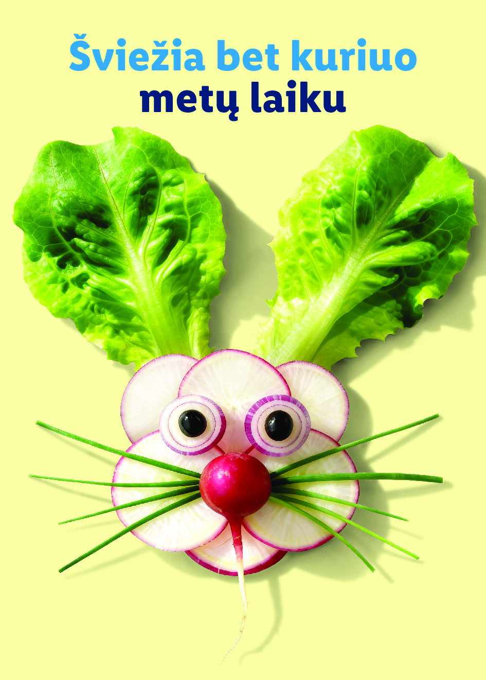 lidl - Velykos, pilnos džiaugsmo (2026-02-23 - 2026-04-06) - page: 91