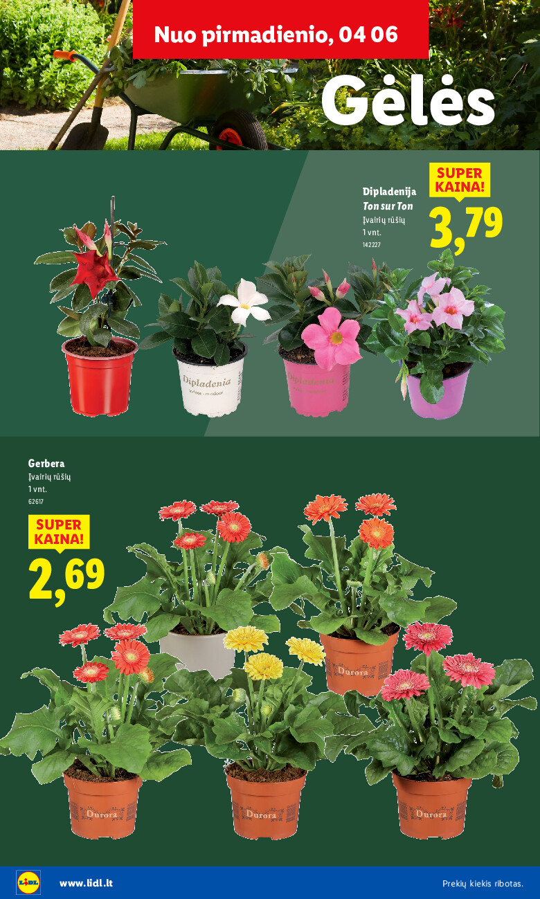 lidl - Sodui valio! (2026-02-16 - 2026-06-07) - page: 14