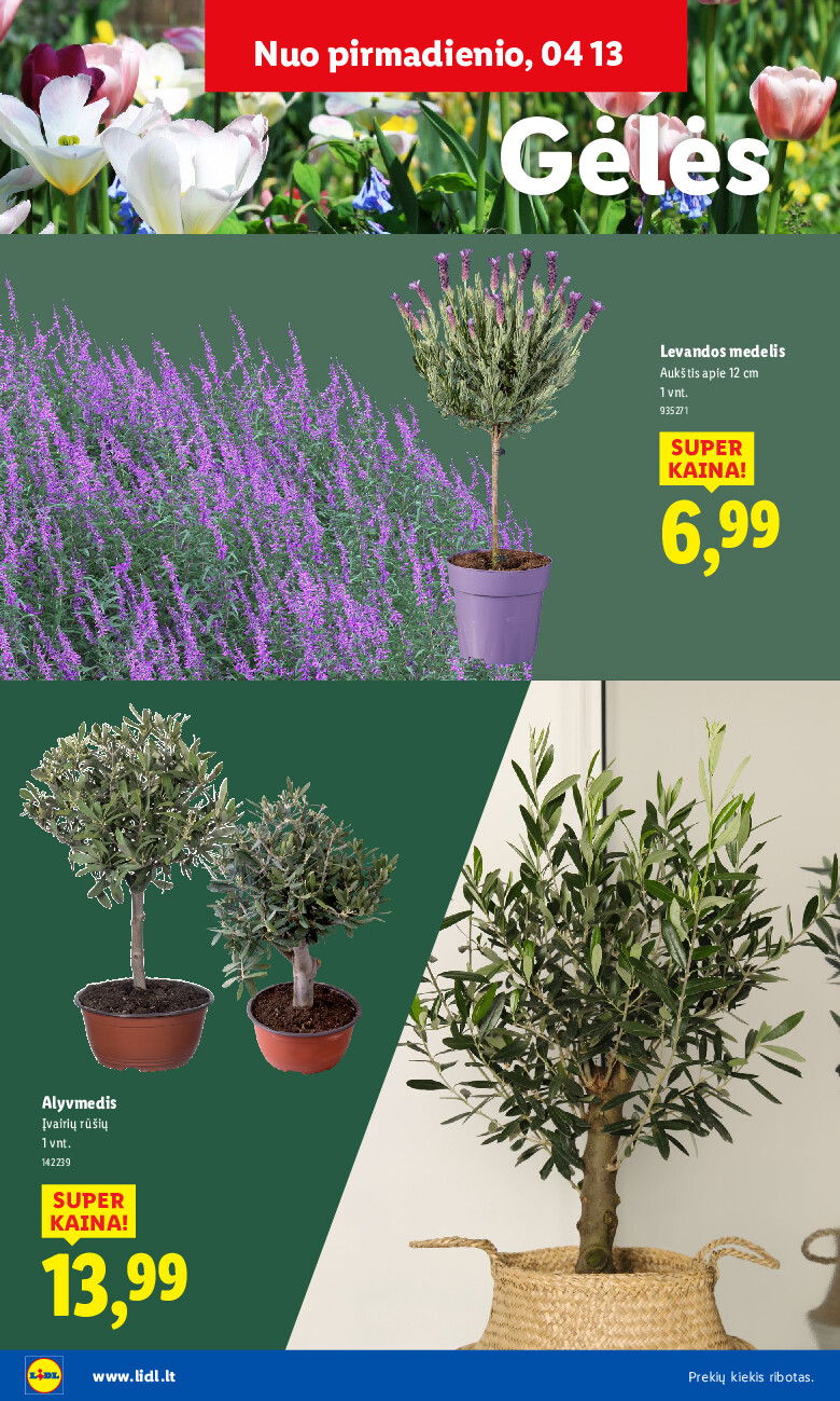 lidl - Sodui valio! (2026-02-16 - 2026-06-07) - page: 22