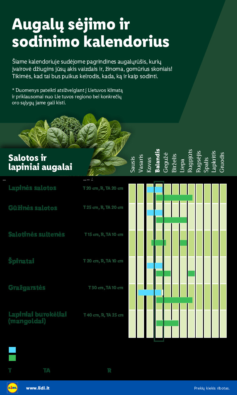 lidl - Sodui valio! (2026-02-16 - 2026-06-07) - page: 4