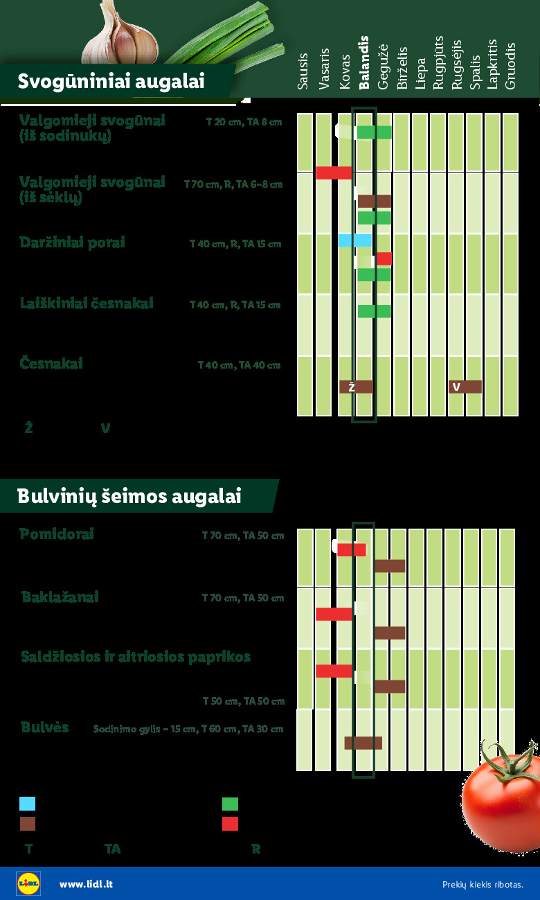 lidl - Sodui valio! (2026-02-16 - 2026-06-07) - page: 6