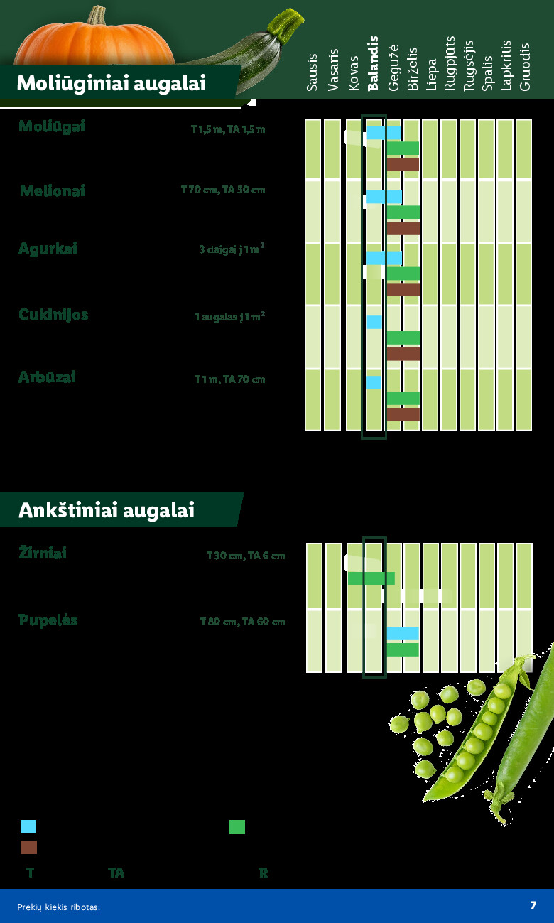 lidl - Sodui valio! (2026-02-16 - 2026-06-07) - page: 7