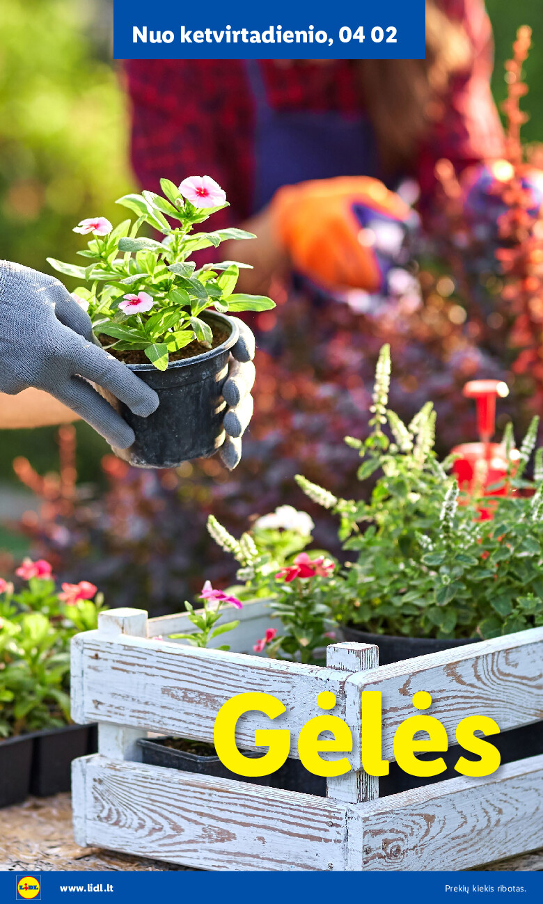 lidl - Sodui valio! (2026-02-16 - 2026-06-07) - page: 8