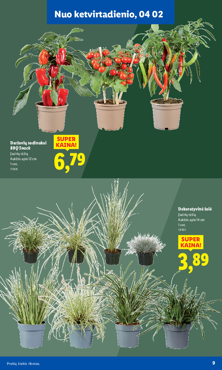 lidl - Sodui valio! (2026-02-16 - 2026-06-07) - page: 9