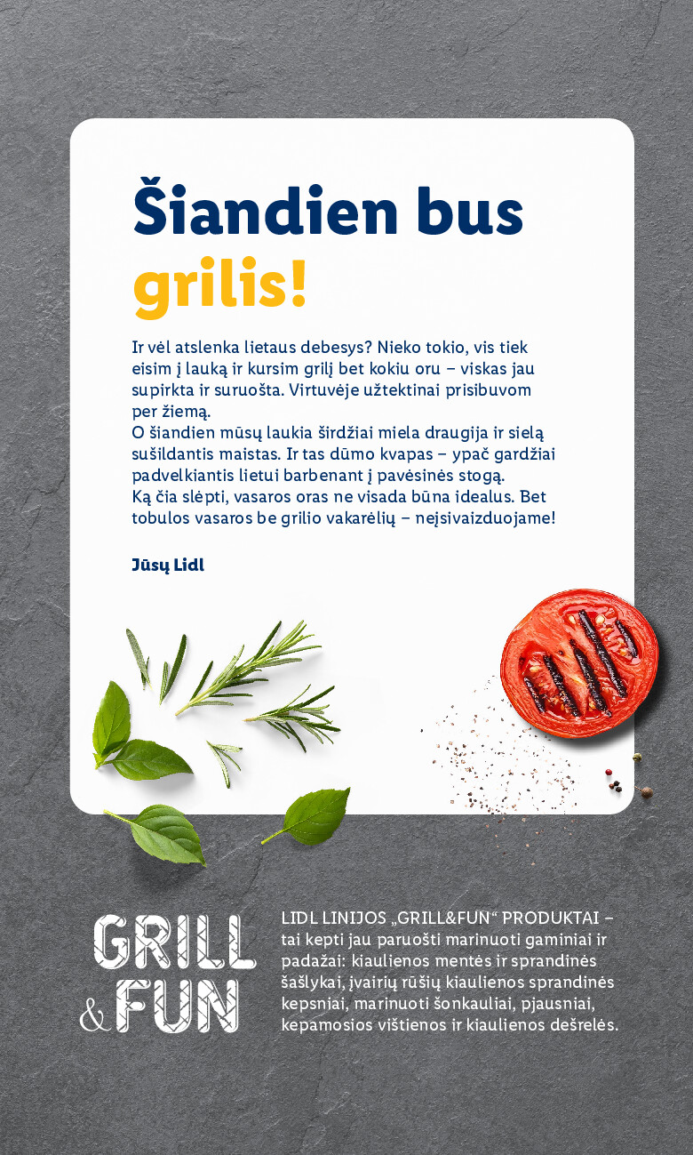 lidl - Grilio katalogas (2026-04-06 - 2026-08-31) - page: 2