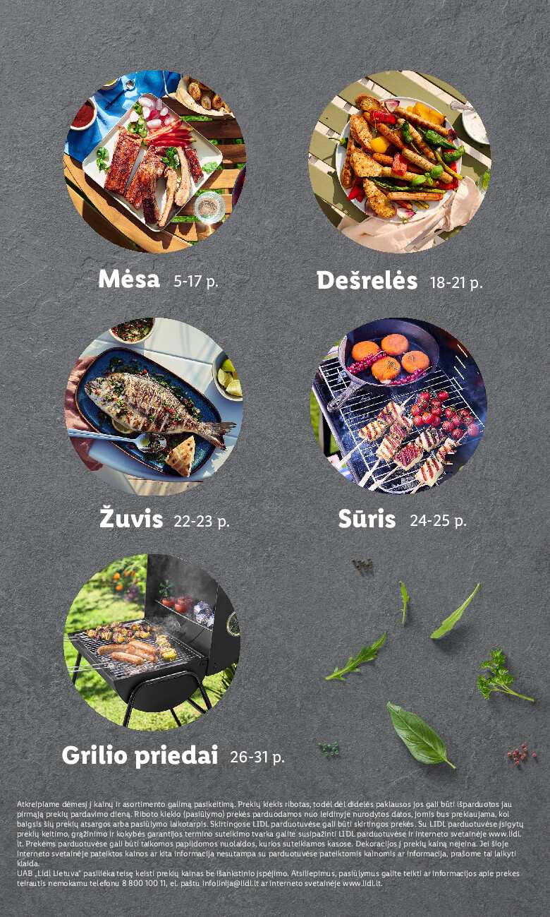 lidl - Grilio katalogas (2026-04-06 - 2026-08-31) - page: 3