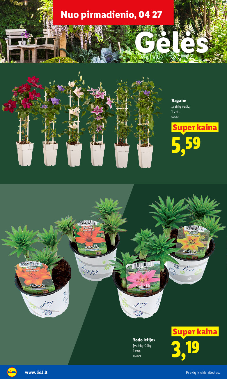 lidl - Sodui valio! (2026-02-16 - 2026-06-07) - page: 16