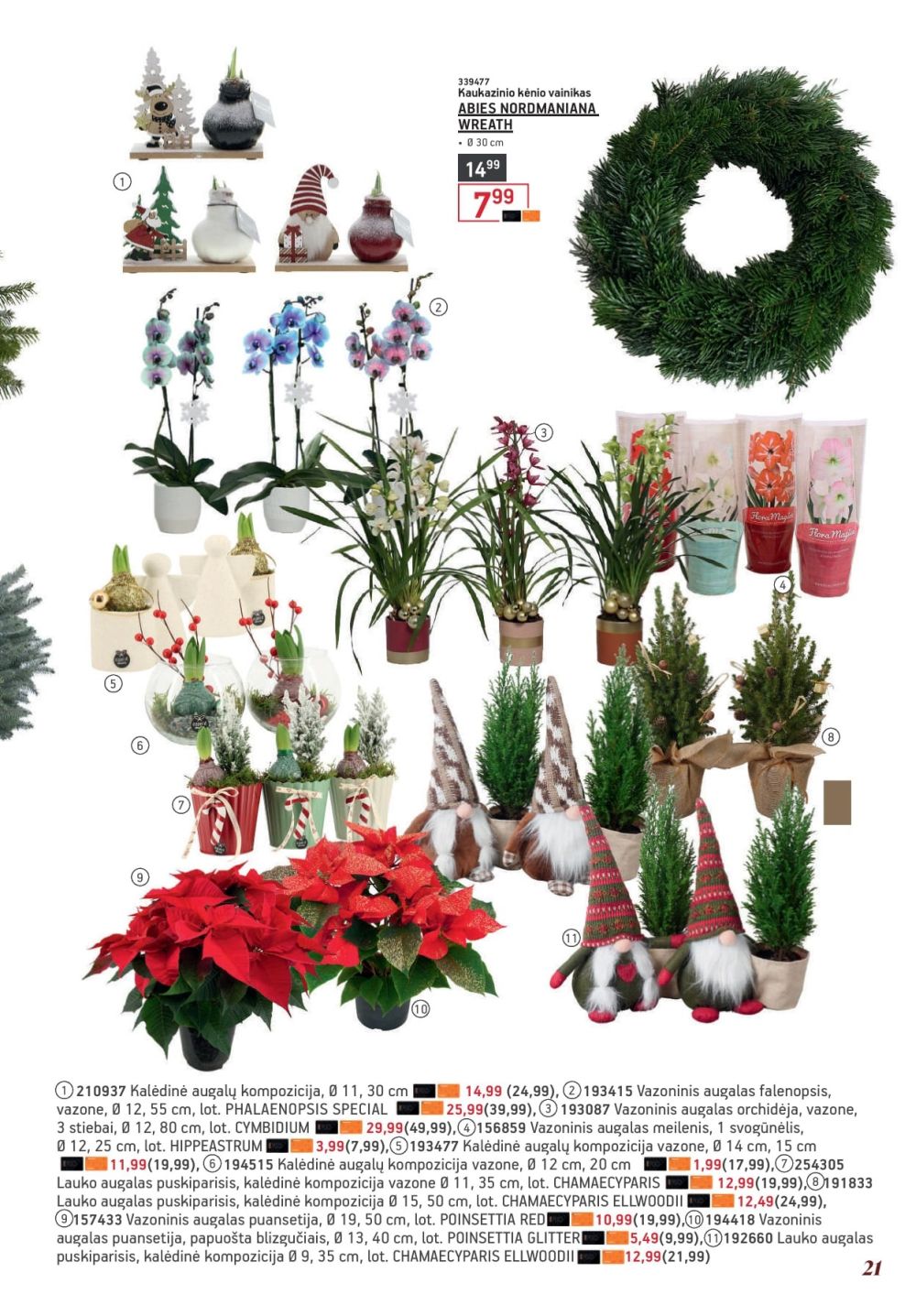 ermitazas - ERMITAŽAS (2025 12 01 - 2026 01 04) - page: 21