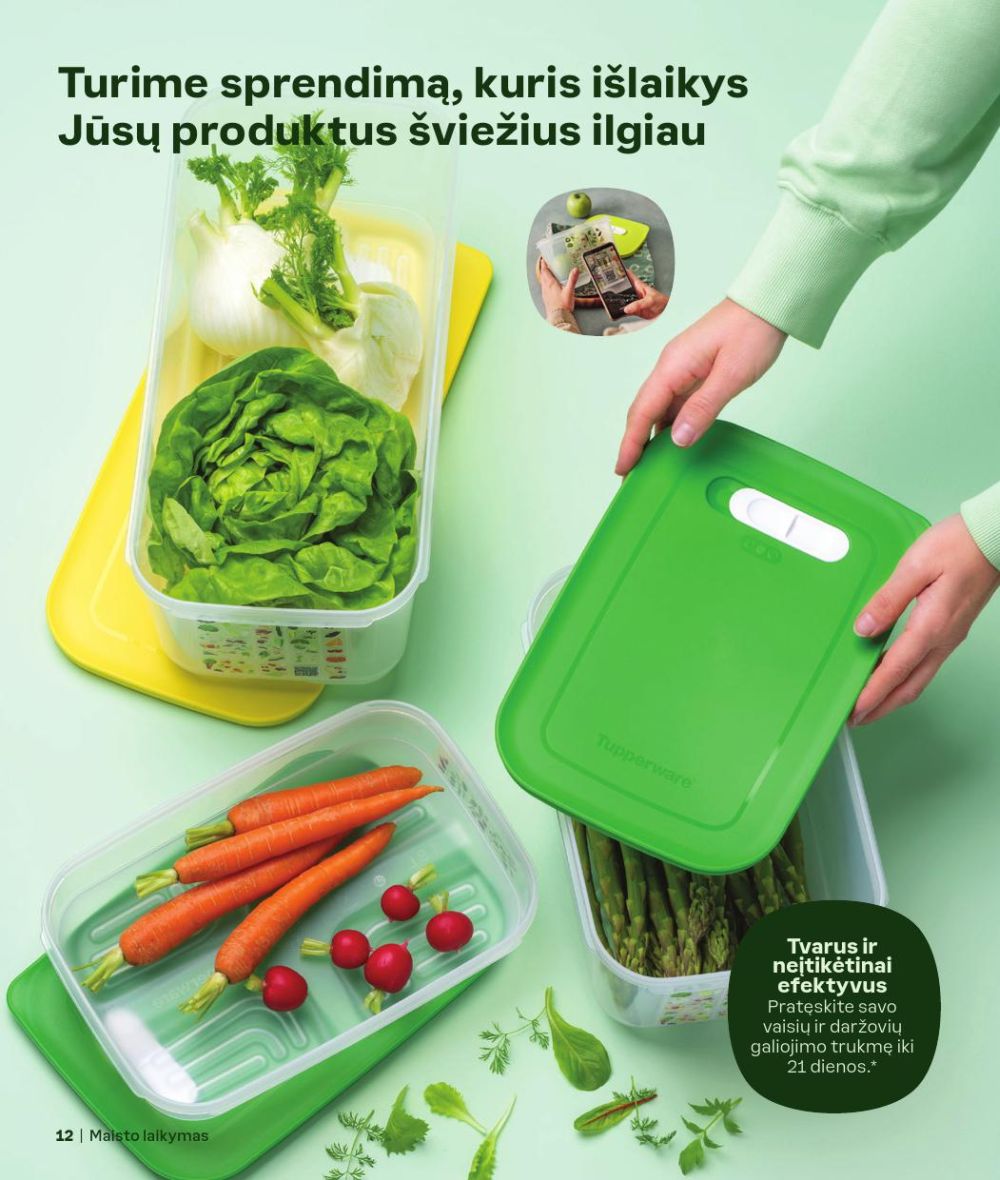 tupperware - TUPPERWARE - Ruduo/Žiema 2024/25 - page: 12