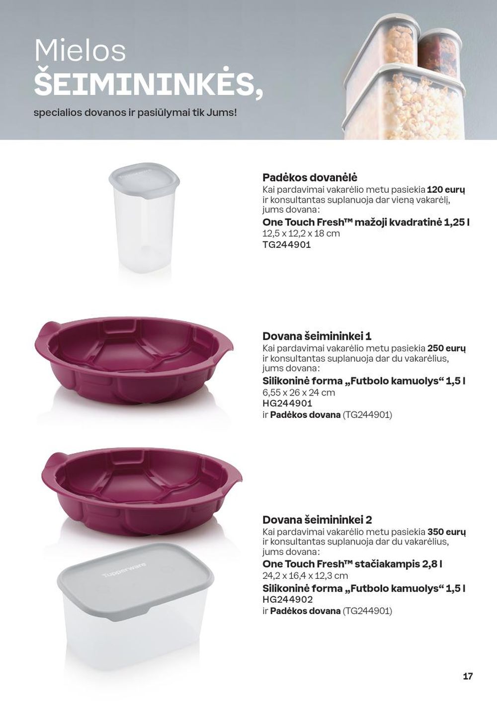 tupperware - TUPPERWARE (2024 12 02 - 2024 12 29) - page: 17