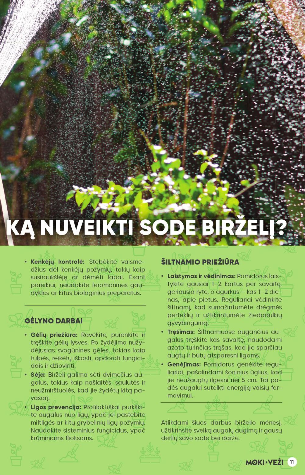 moki-vezi - MOKI - VEŽI - Leidinys Nr.6 (2025 05 29 - 2025 06 24) - page: 11