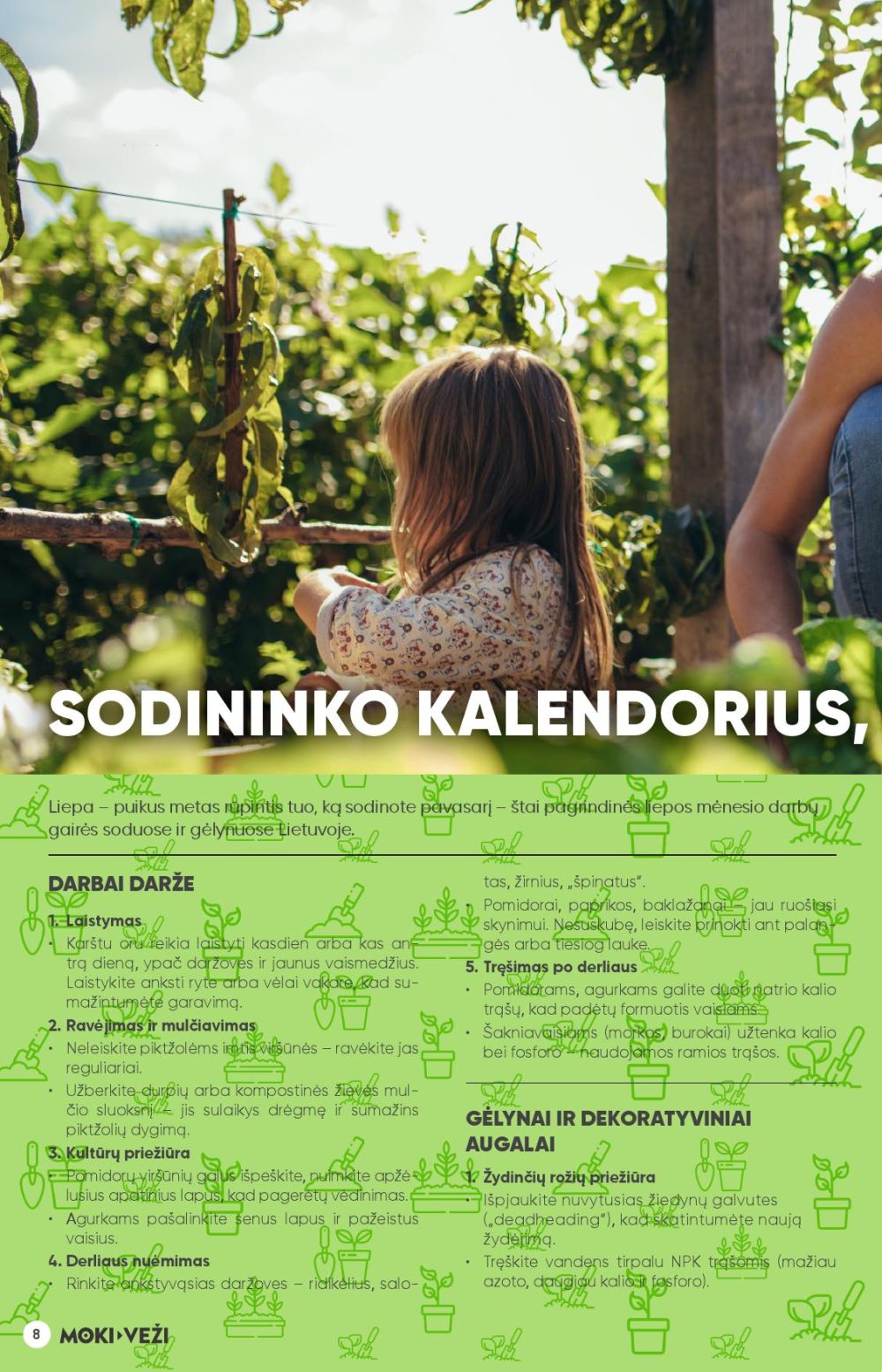 moki-vezi - MOKI - VEŽI - Leidinys Nr.7 (2025 06 26 - 2025 07 22) - page: 8
