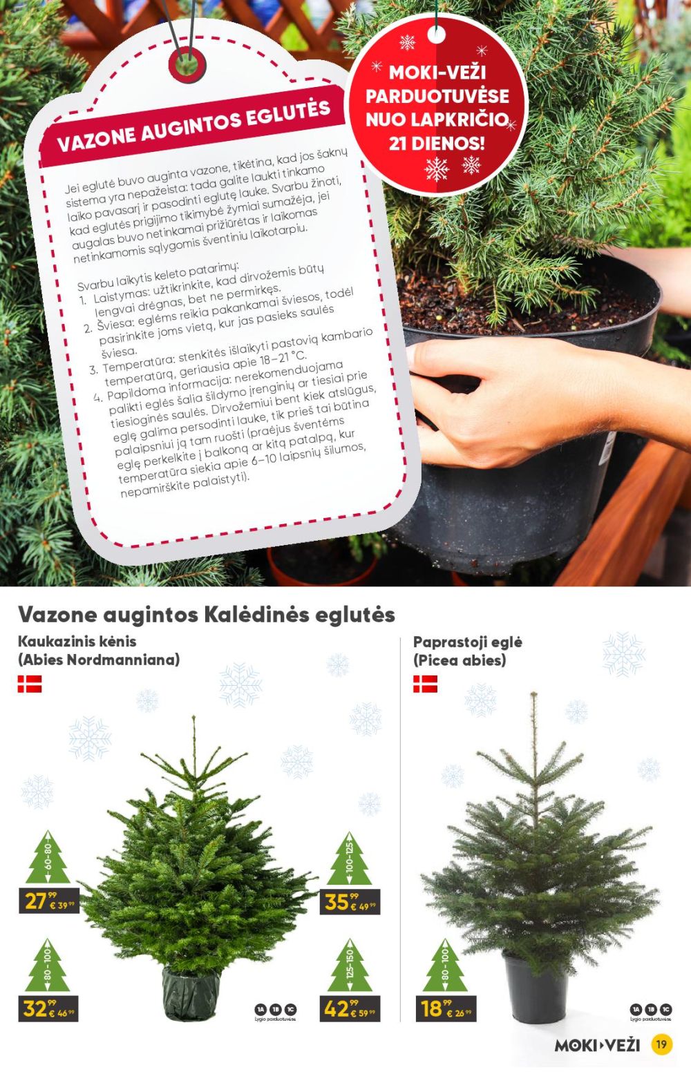 moki-vezi - MOKI - VEŽI - Leidinys Nr.12 (2025 11 13 - 2025 12 09) - page: 19