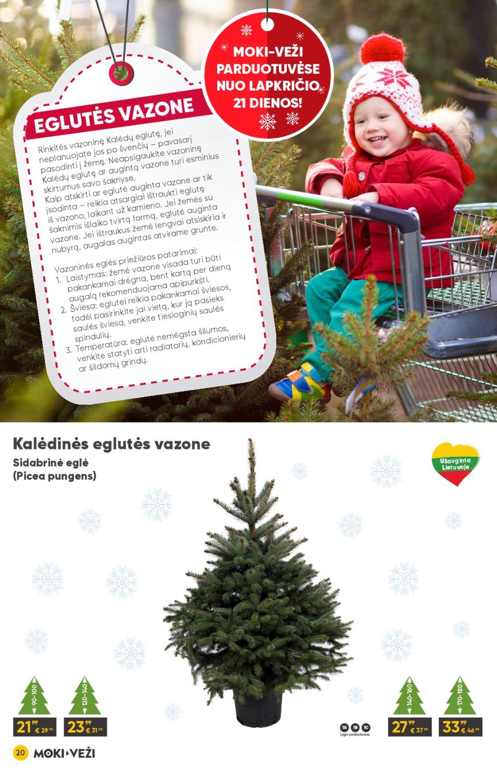 moki-vezi - MOKI - VEŽI - Leidinys Nr.12 (2025 11 13 - 2025 12 09) - page: 20