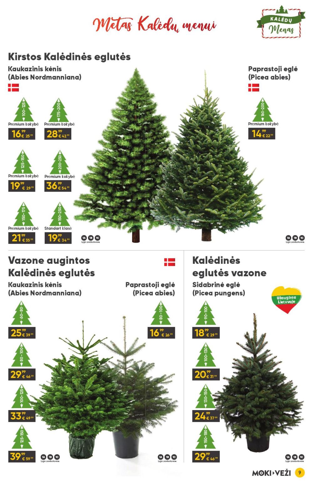 moki-vezi - MOKI - VEŽI - Leidinys Nr.13 (2025 12 11 - 2026 01 06) - page: 9