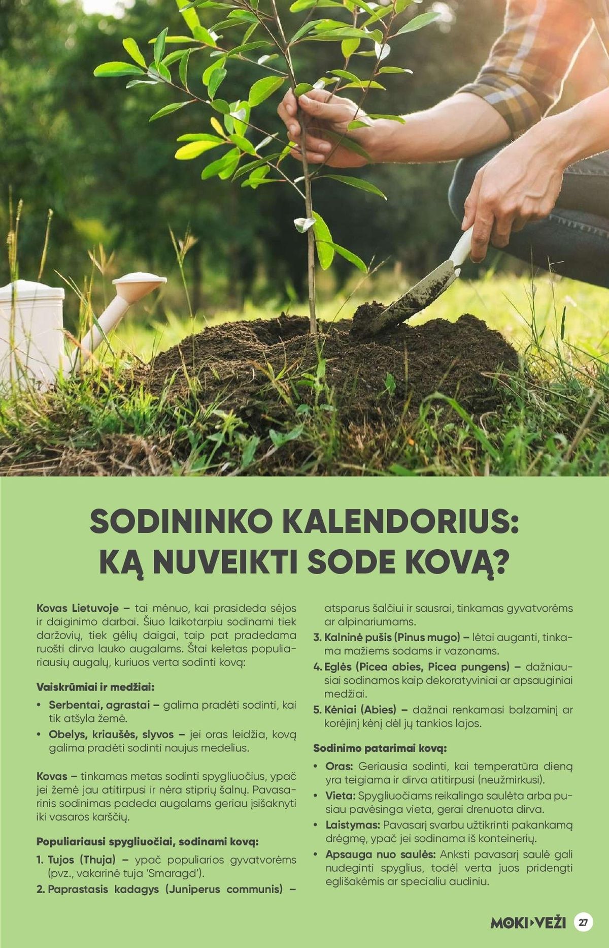 moki-vezi - MOKI - VEŽI - Leidinys Nr.3 (2028 03 05 - 2026 03 31) - page: 27