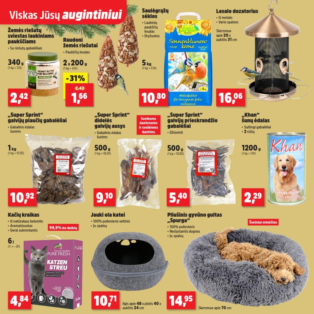 thomas-philipps - THOMAS PHILIPPS (2025 12 01 - 2025 12 06) - page: 19