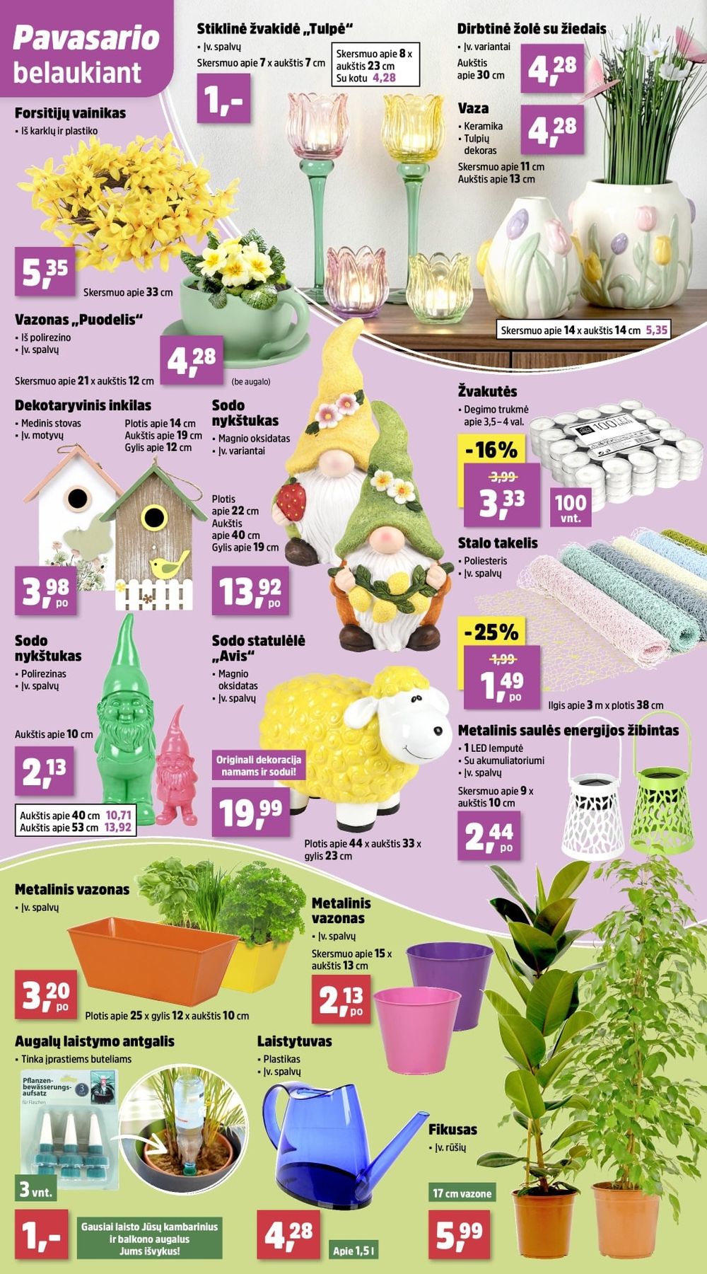 thomas-philipps - THOMAS PHILIPPS (2026 01 26 - 2026 01 31) - page: 4