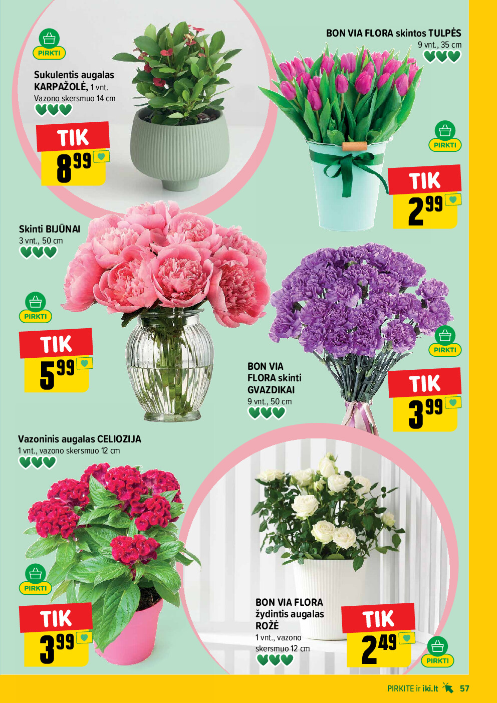 iki -  (2026-05-18 - 2026-05-24) - page: 57