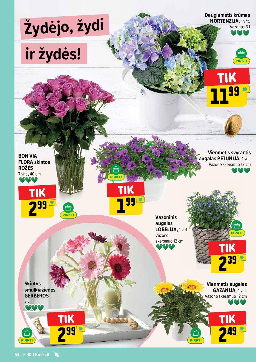 iki -  (2026-06-01 - 2026-06-07) - page: 54