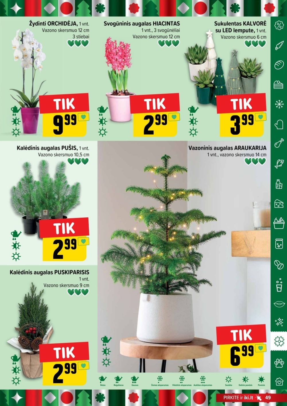 iki - IKI - Leidinys Nr.47 (2025 11 17 - 2025 11 23) - page: 49