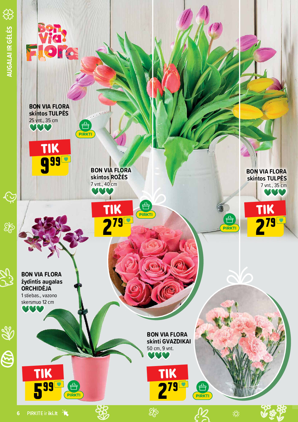 iki -  (2026-03-16 - 2026-03-22) - page: 6