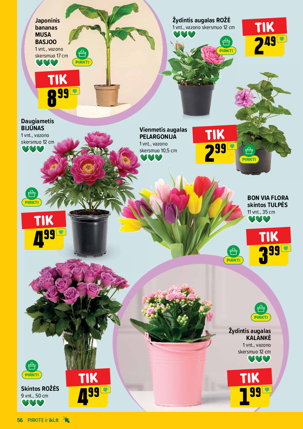 iki -  (2026-04-20 - 2026-04-26) - page: 56