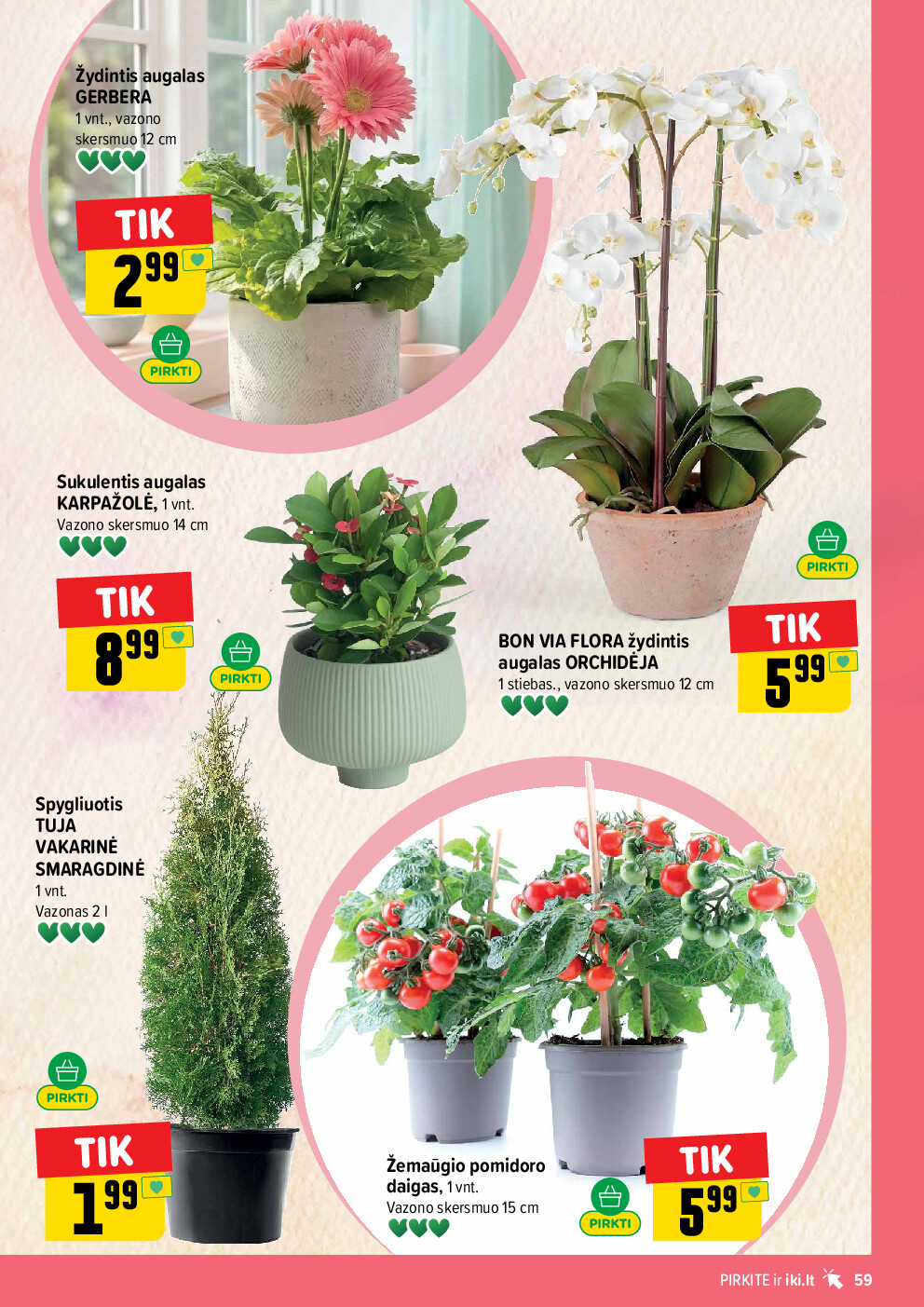 iki -  (2026-04-27 - 2026-05-03) - page: 59