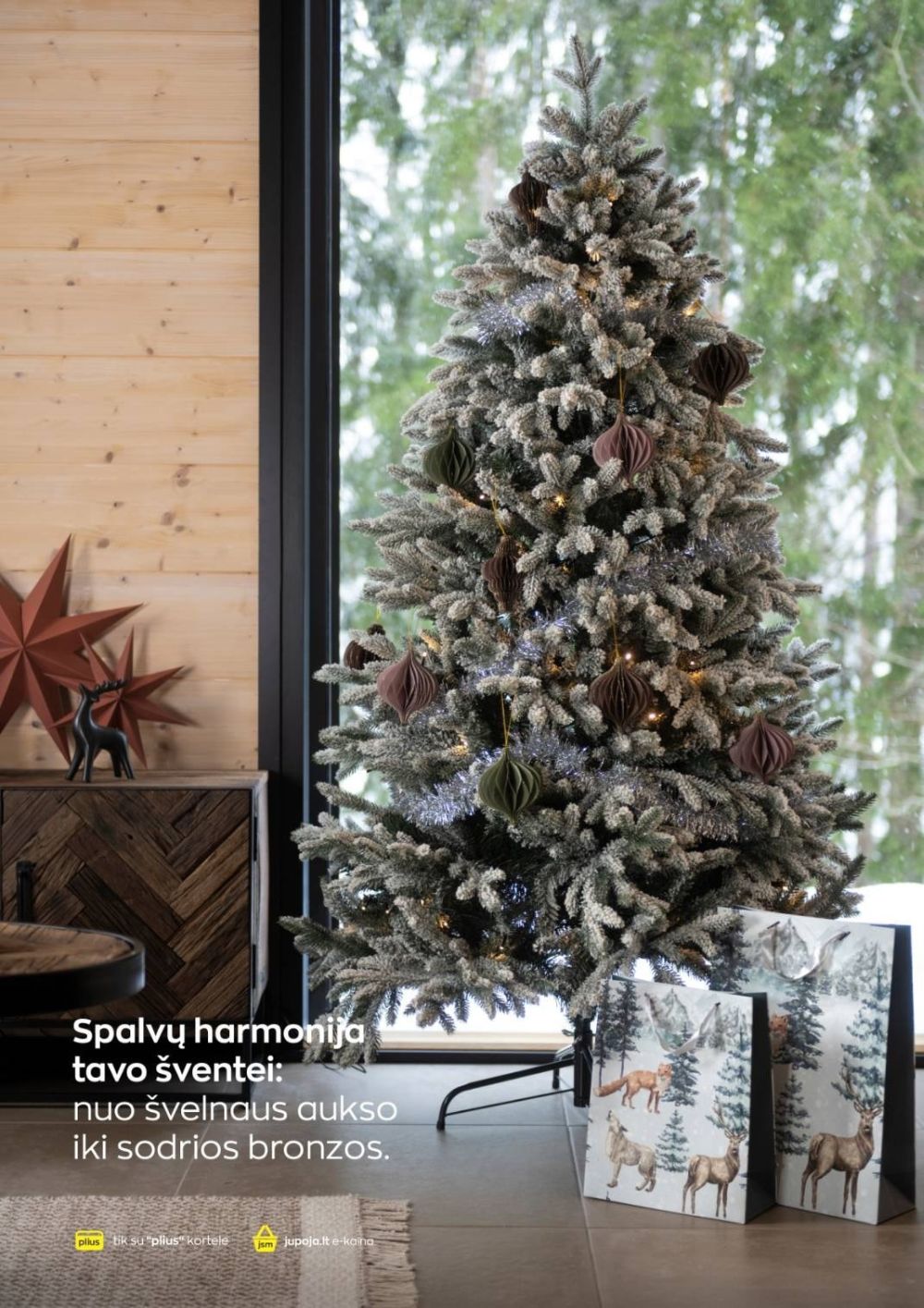 jupoja - JUPOJA (2025 12 01 - 2026 01 05) - page: 11