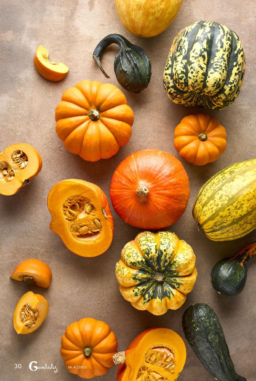 rimi - RIMI - Gardēdis Nr.4 - page: 28