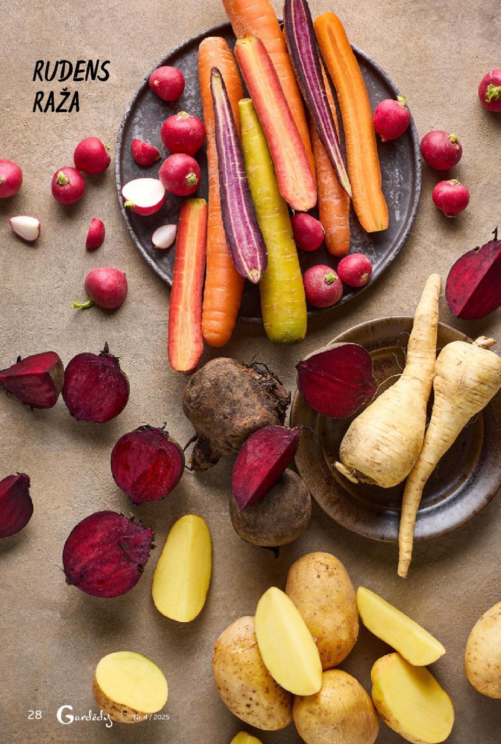 rimi - RIMI - Gardēdis Nr.4 - page: 26