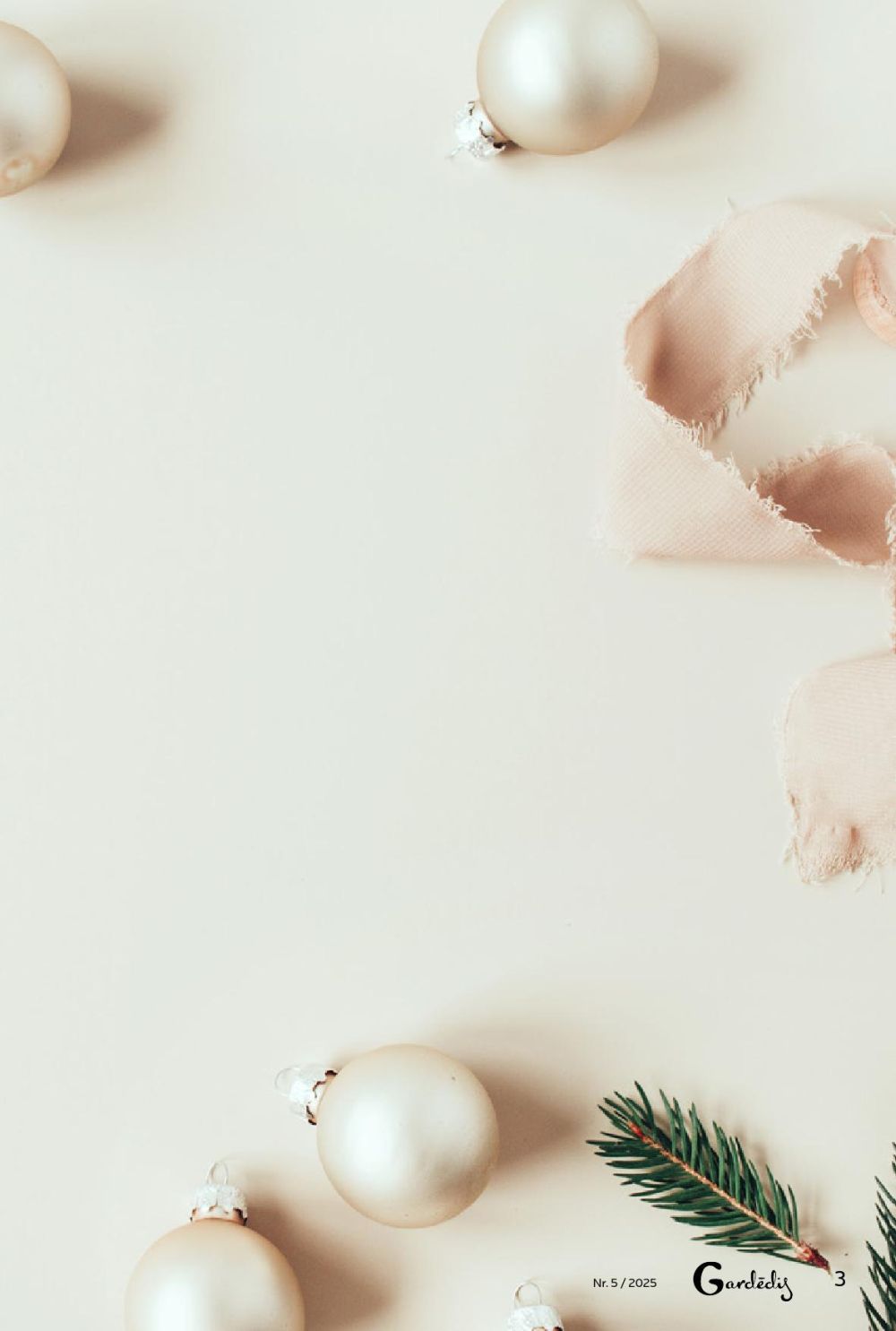 rimi - RIMI - Gardēdis Nr.5 - page: 3