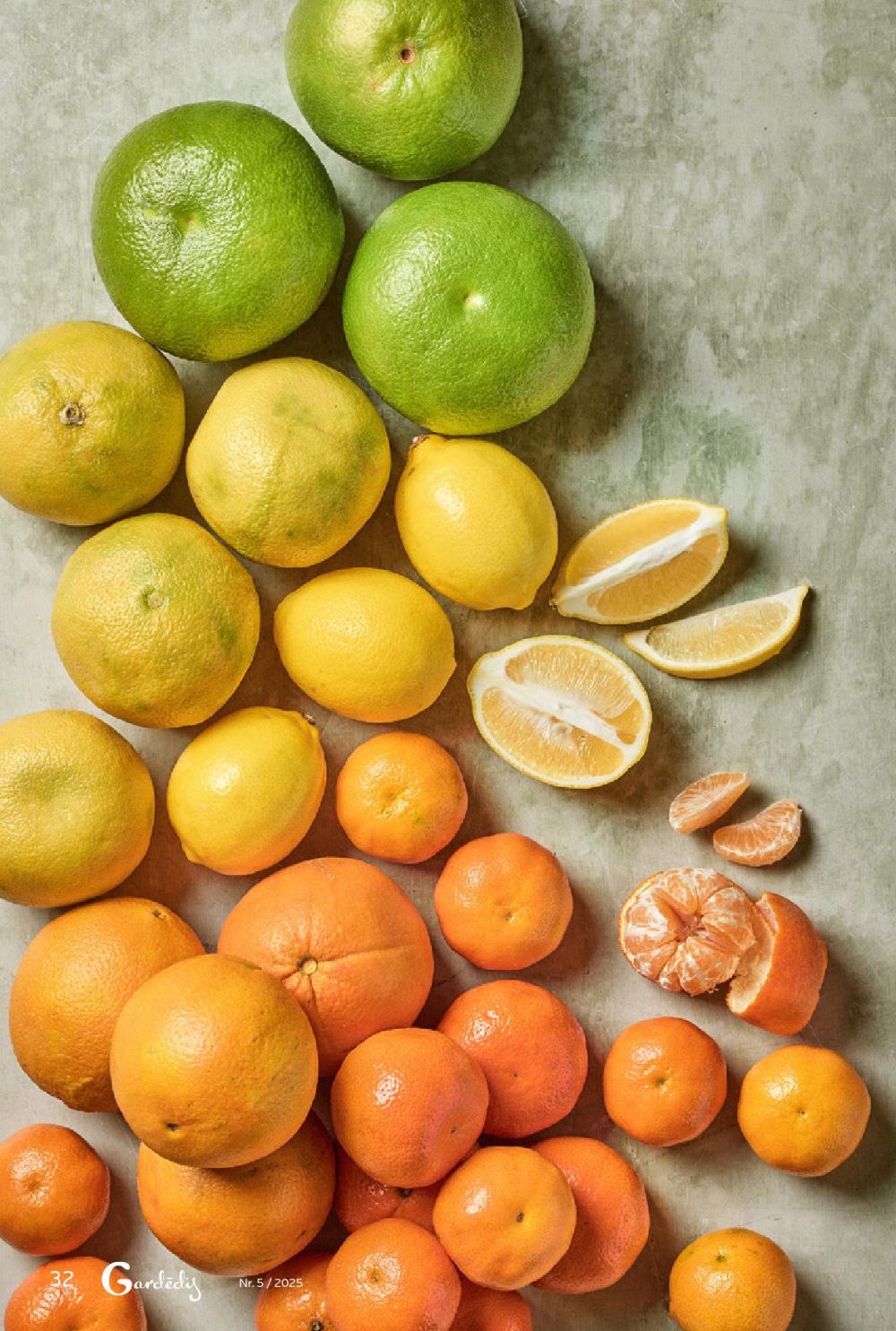 rimi - RIMI - Gardēdis Nr.5 - page: 32