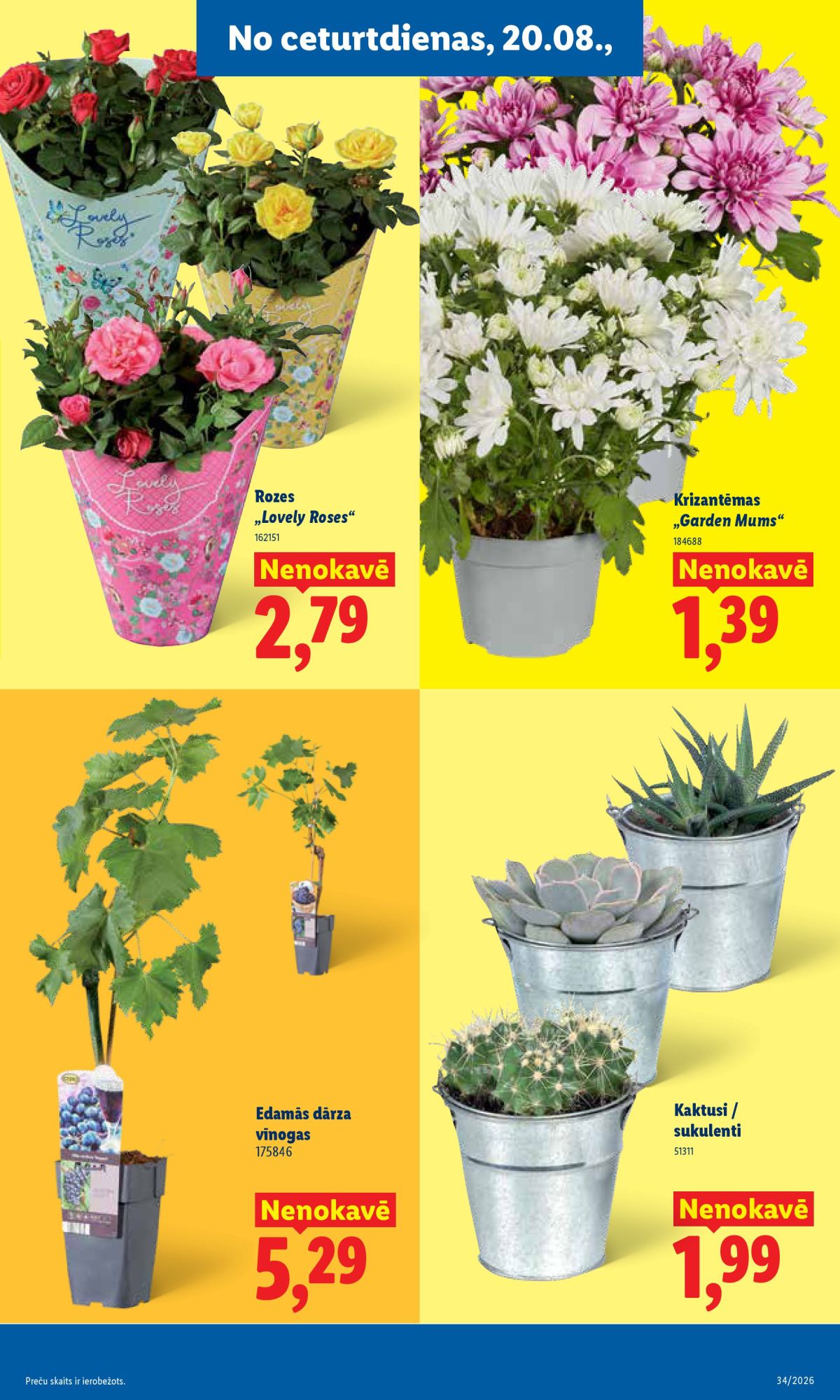 lidl - LIDL - Aktuālais akciju buklets (17.08.2026 - 23.08.2026) - page: 6