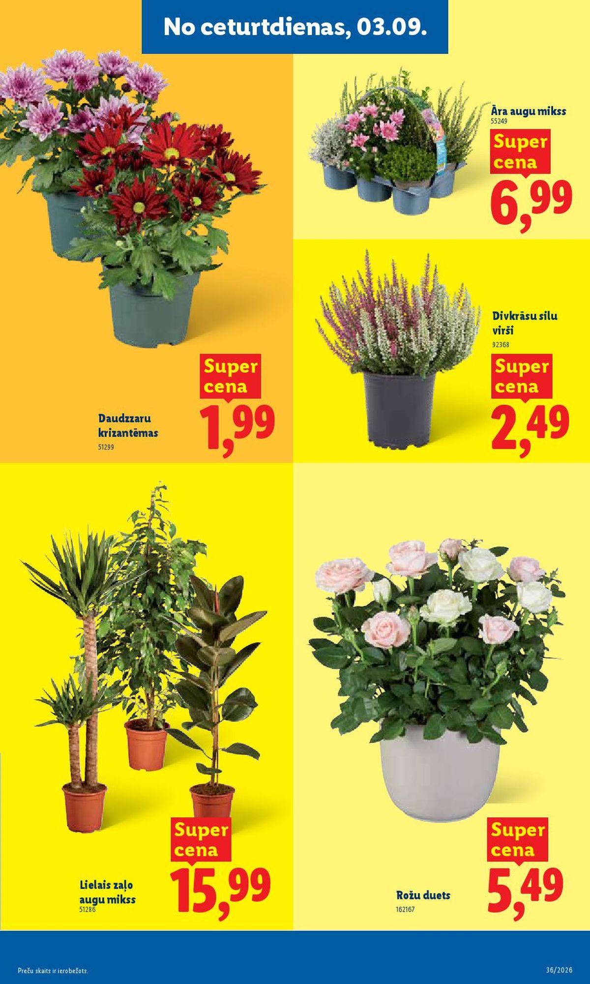 lidl - LIDL - Aktuālais akciju buklets (31.08.2026 - 06.09.2026) - page: 3