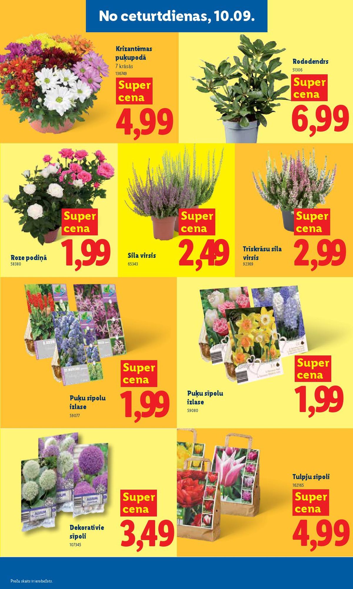 lidl - LIDL - Aktuālais akciju buklets (07.09.2026 - 13.09.2026) - page: 11