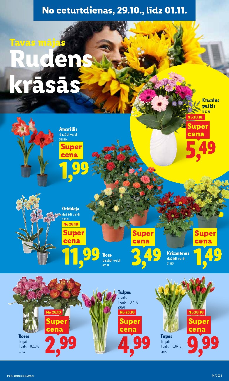 lidl - Aktuālais akciju buklets (2026-10-26 - 2026-11-01) - page: 37